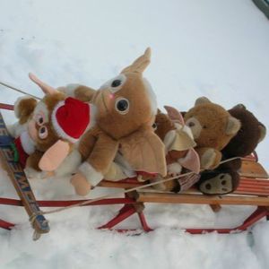 Meet your Posher, Jay